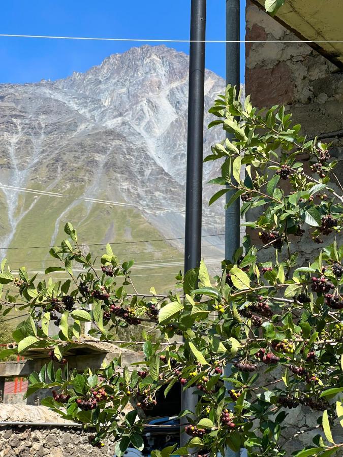 Ia's Guest House Kazbegi Extérieur photo