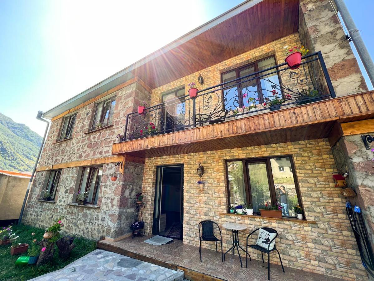 Ia's Guest House Kazbegi Extérieur photo